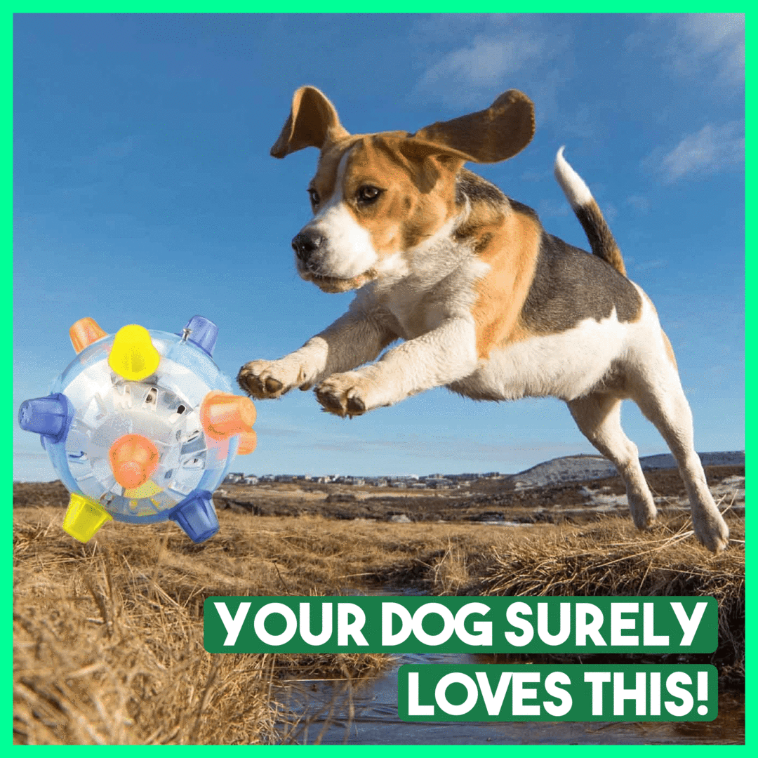Jumping Activation Ball for Dogsš¶š„