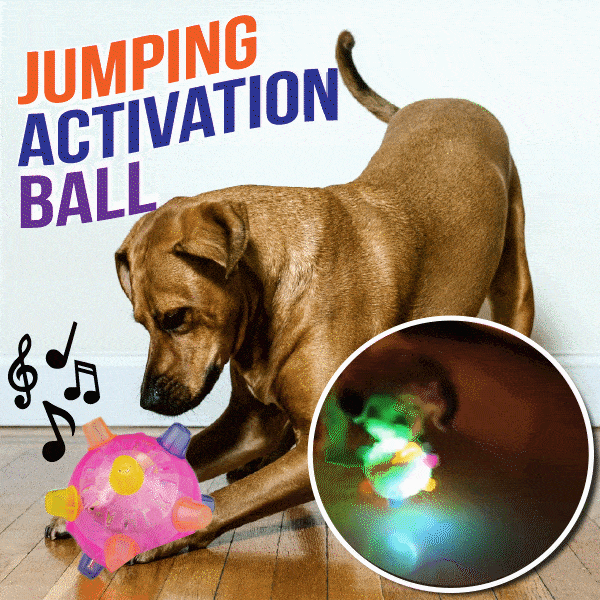 Jumping Activation Ball for Dogsš¶š„
