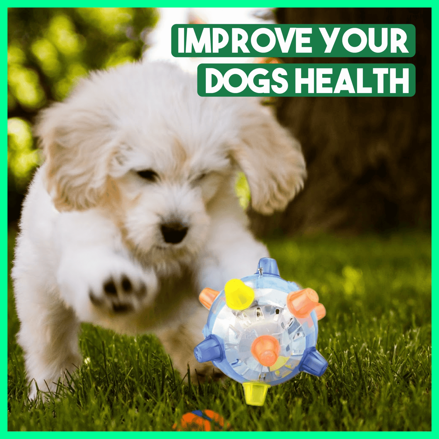 Jumping Activation Ball for Dogsš¶š„
