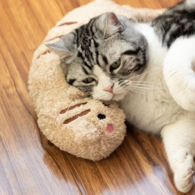 Cat Lovely Cozy Pillow