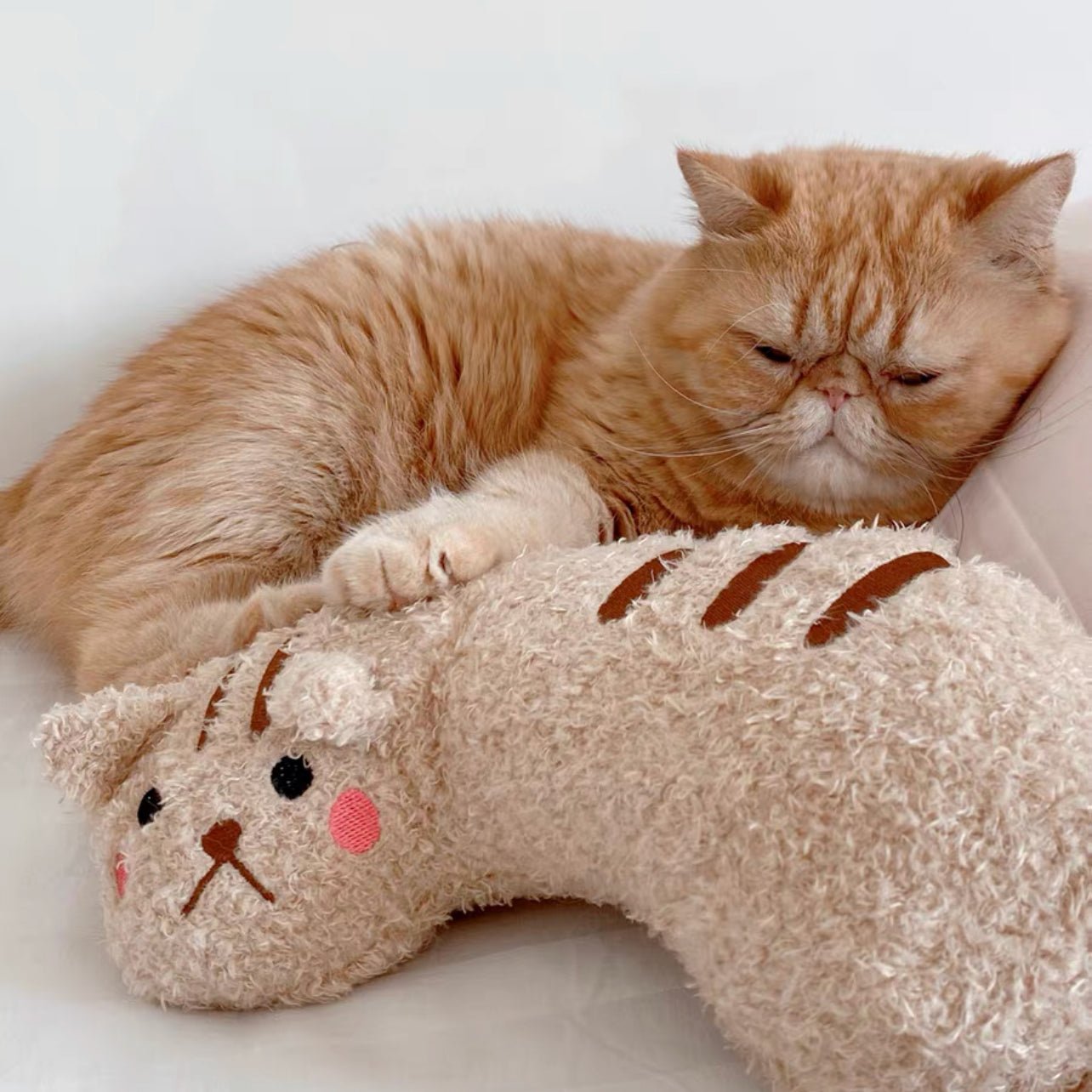 Cat Lovely Cozy Pillow
