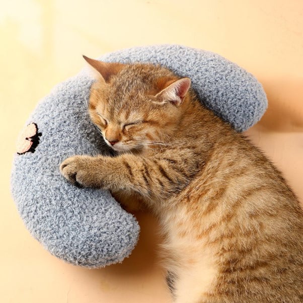 Cat Lovely Cozy Pillow