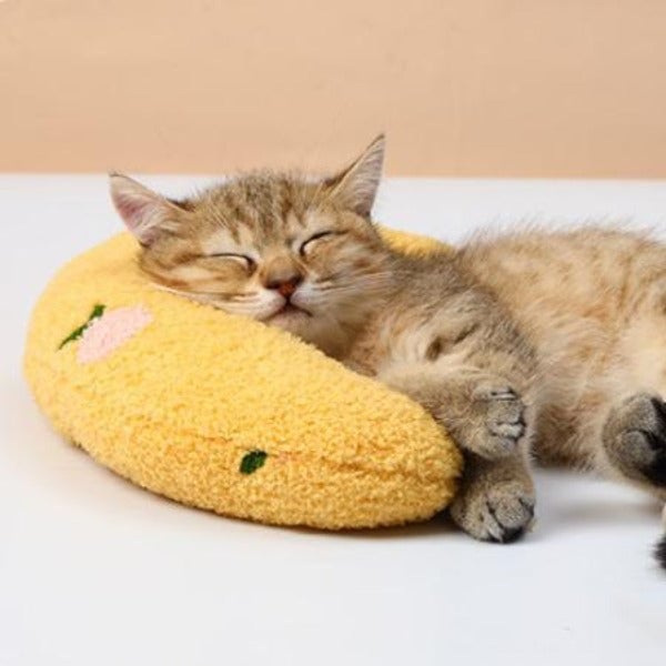 Cat Lovely Cozy Pillow