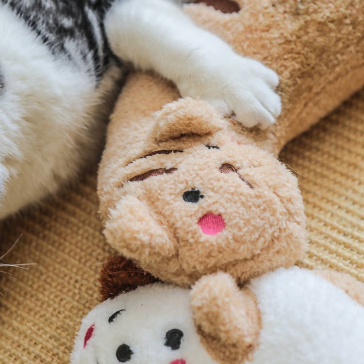 Cat Lovely Cozy Pillow