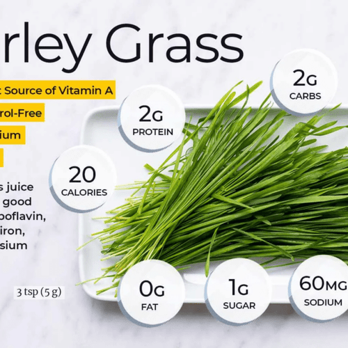Barley Grass Powder 100% Pure & Organic