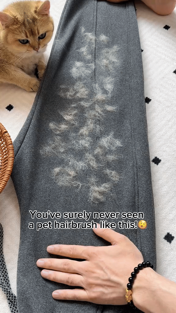 FurEase Pet Hair Remover  Glove