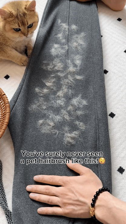 FurEase Pet Hair Remover  Glove