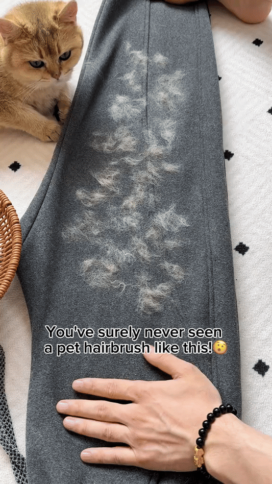 FurEase Pet Hair Remover  Glove